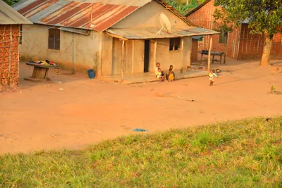 DSC_4313 (Large).JPG